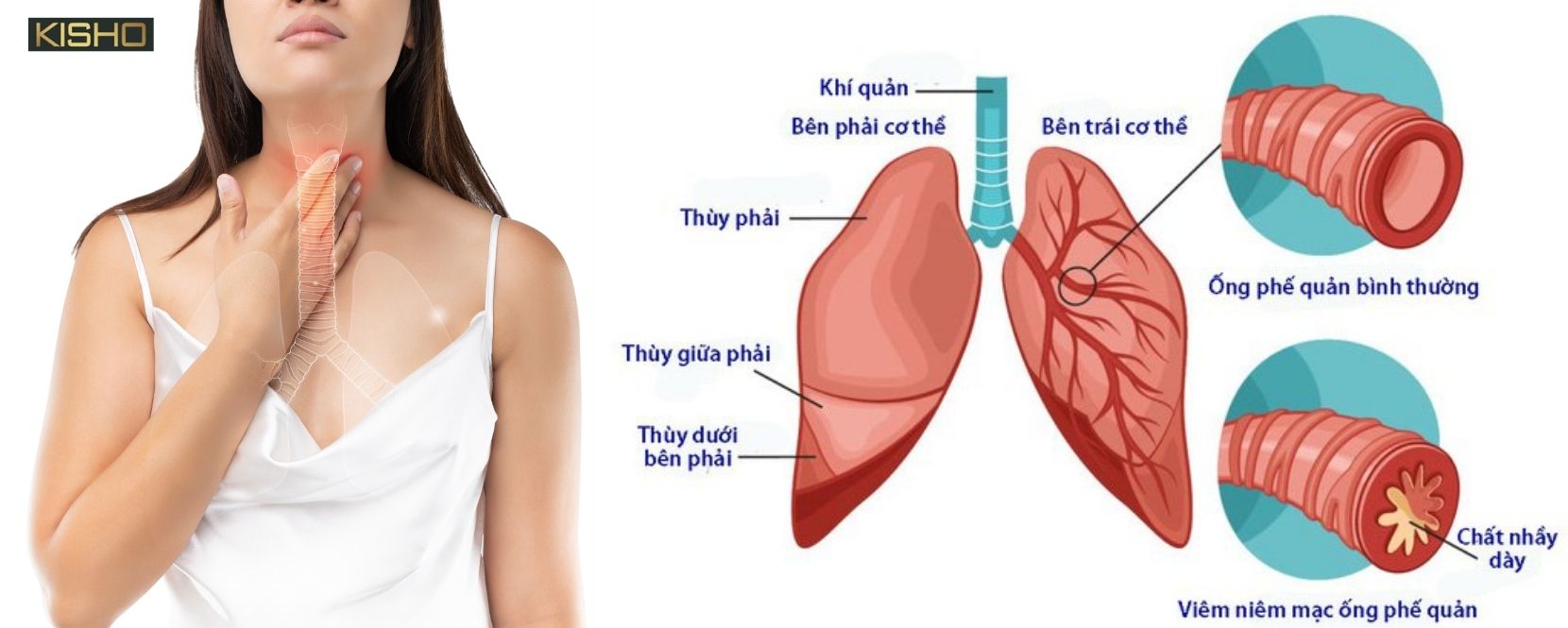 Không có tiêu đề (1660 × 665 px) (1660 × 665 px) (4)