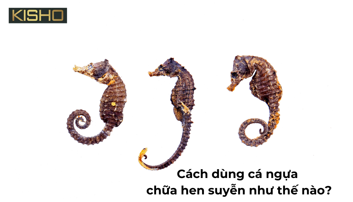 Cách dùng cá ngựa chữa hen suyễn như thế nào?